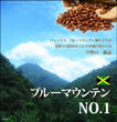 ブルーマウンテン