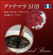 グァテマラ SHB