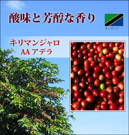 キリマンジャロ
