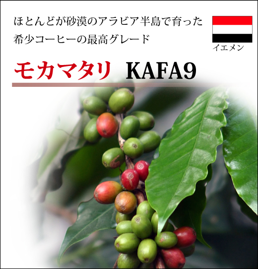 モカマタリ