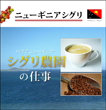 ニューギニアシグリ