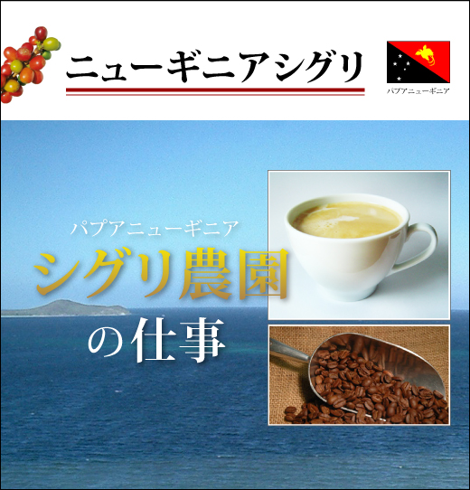 ニューギニア シグリ